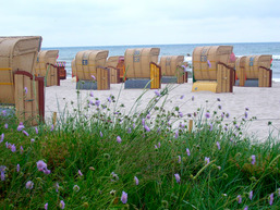 Strand von Kellenhusen
